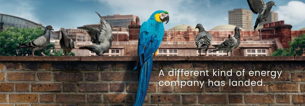 London Power advertisement, a colourful parrot sits amongst grey pigeons with the wording 'A different kind of energy company has landed.'