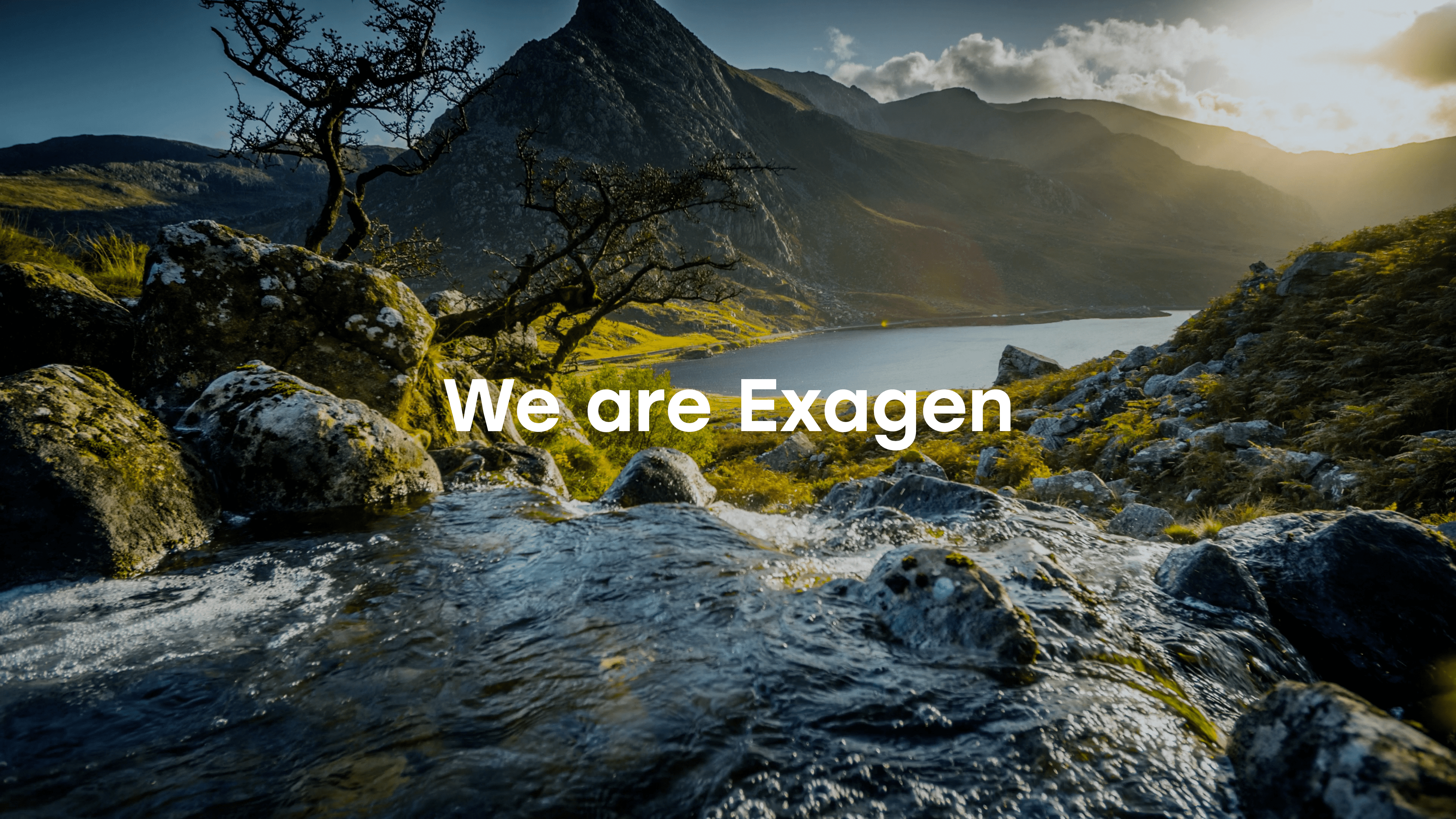 Beautiful mountainous landscape with the words 'We are Exagen' across the middle.